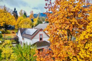Nelson and District Women’s Centre