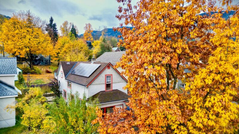 Nelson and District Women’s Centre